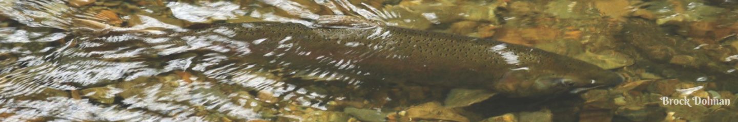 Russian River Coho Water Resources Partnership